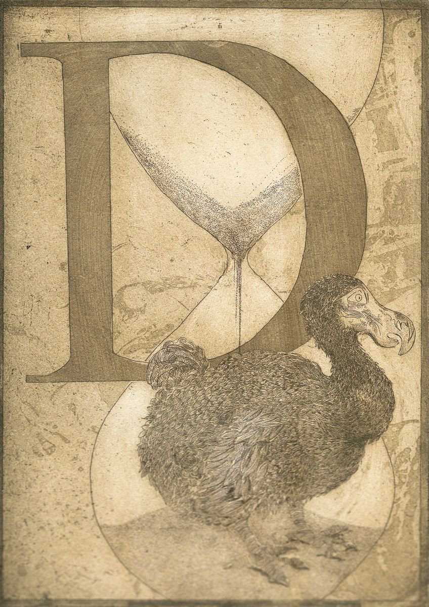 Illustrative Animal Etchings & Engravings By Jane Daniell, 9 X 12, D Is For Dodo, Original Artwork