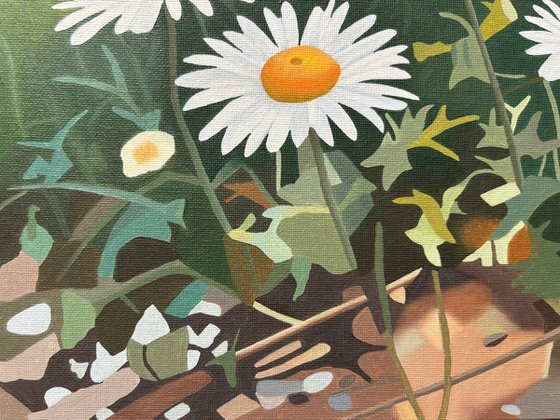 Morning Walk, With Daisies