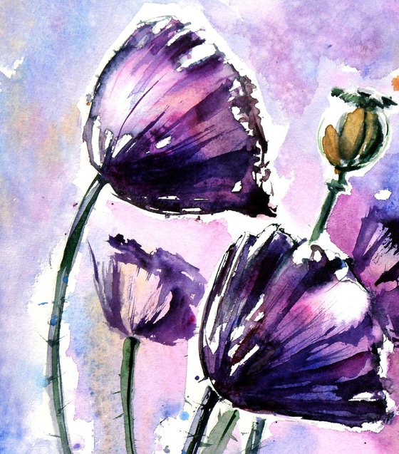 Purple poppies