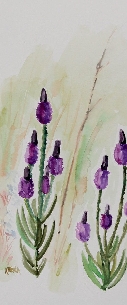 "Blue Vervain" - Wildflower by Katrina Case