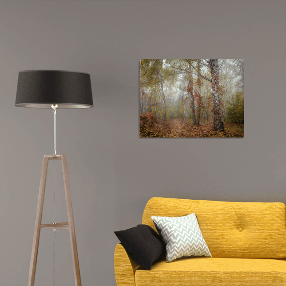 Autumn Calm II — Misty Birches