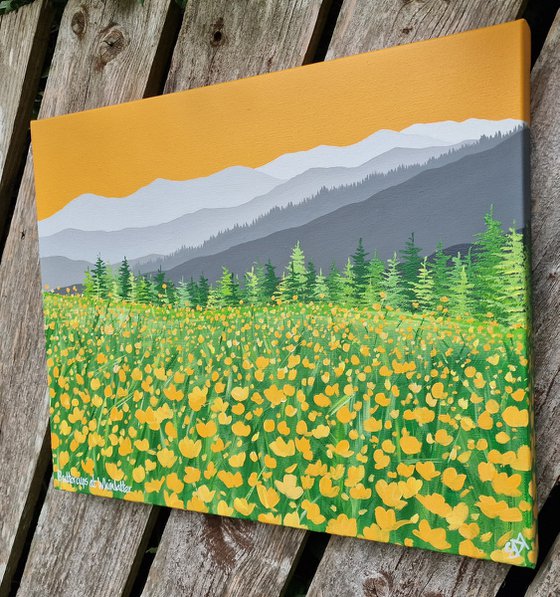 Buttercups at Whinlatter, The Lake District