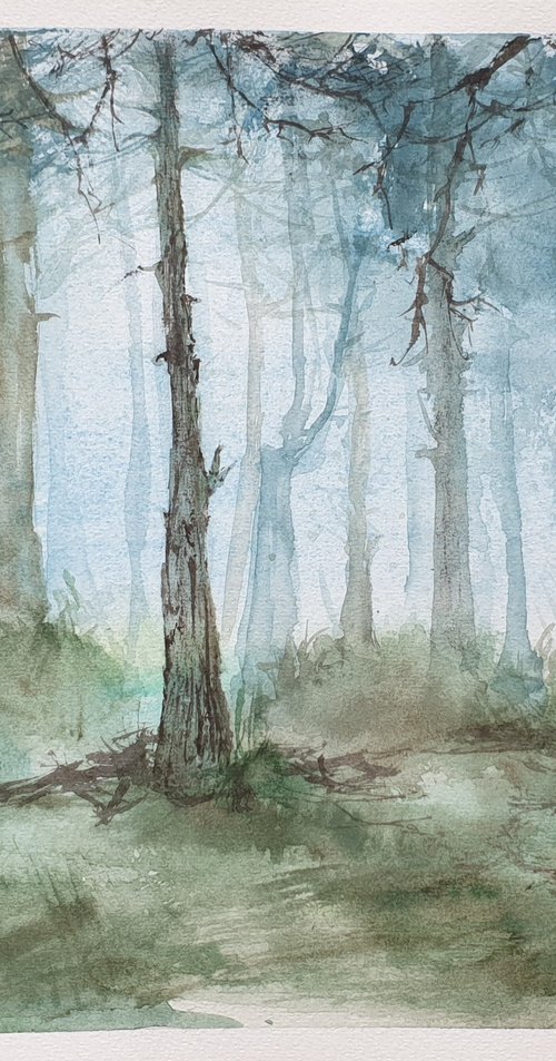 Misty forest walk by Ksenia June
