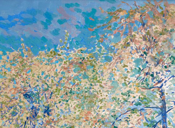 The gardens are in bloom