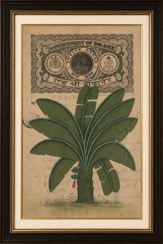 Royal Banana Tree on Bikaner Stamp