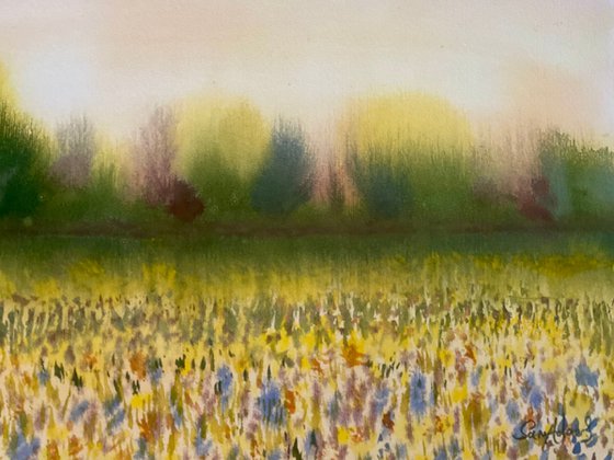 The beauty of Spring