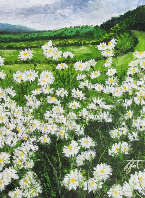 Daisies at Vale Farm by Christine Gaut