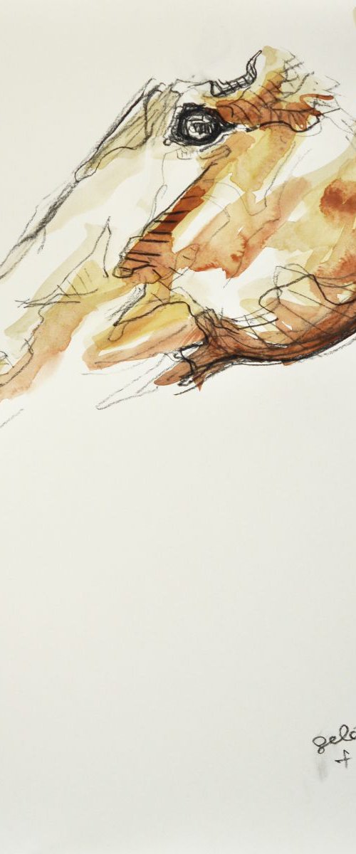 Equine Nude 29t by Benedicte Gele