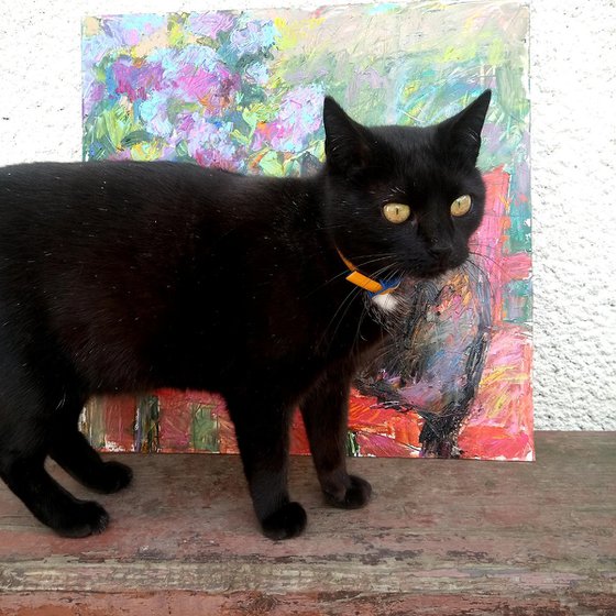 Lilac, black cat, red fence