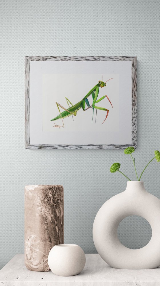 Praying Mantis