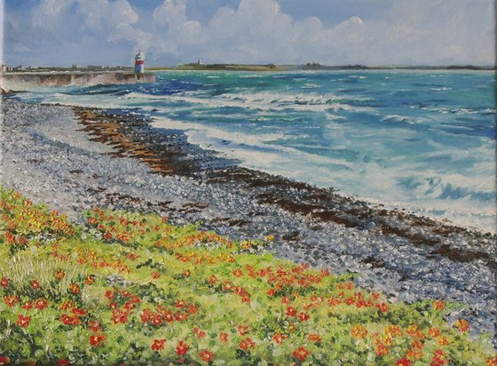 Nasturtiums on Castletown Shore - Isle of Man