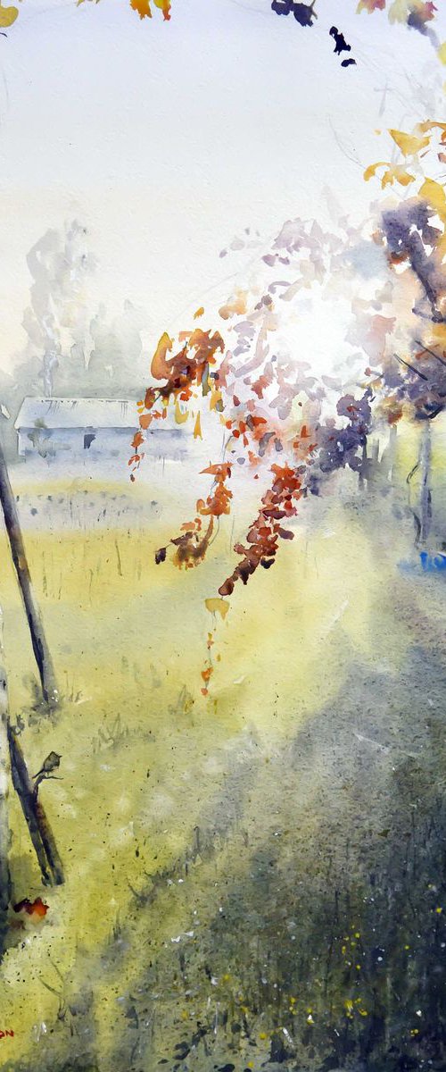 Vineyard Stroll by andrew hodgson