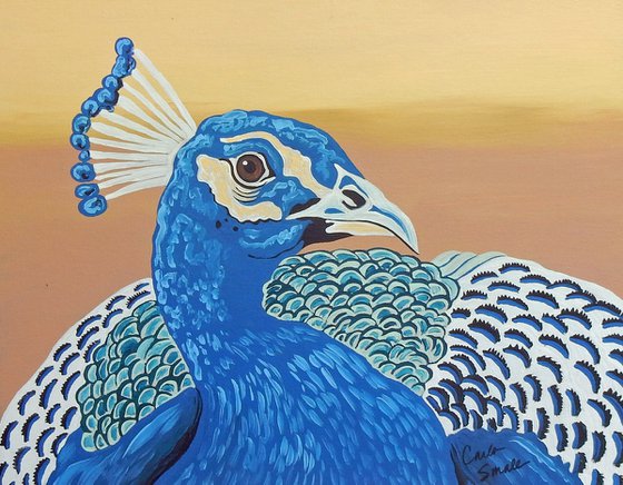 Peacock Original Bird Art Painting-11 x 14 Inches Stretched Canvas-Carla Smale