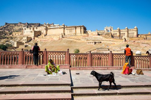 Amer Fort - Signed Limited Edition by Serge Horta