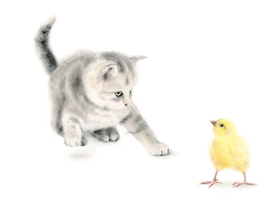 A Kitten Plays with a Baby Chick