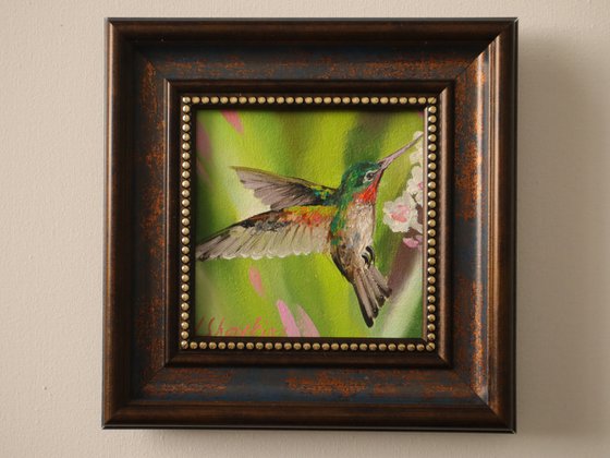 Hummingbird