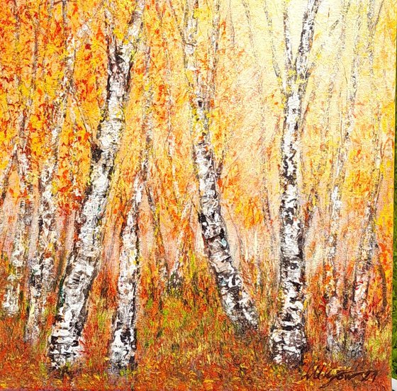 Autumnal birch trees