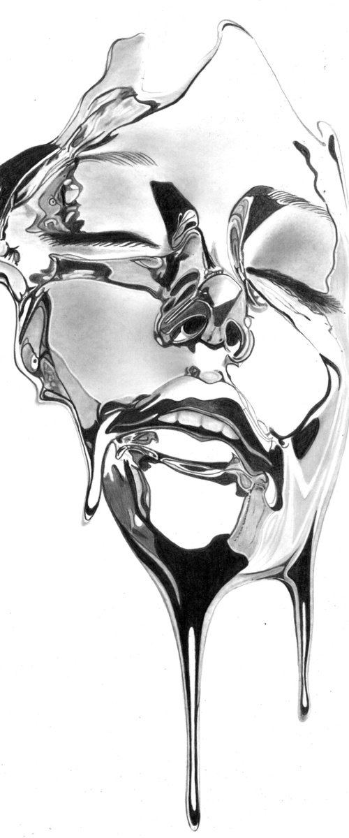 Chrome Portrait by Paul Stowe