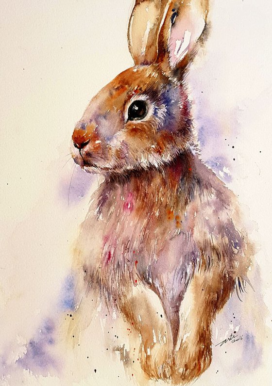 Frisky the Brown Hare