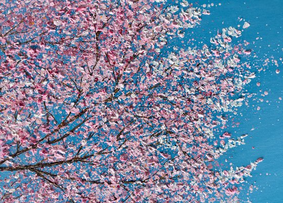 Cherry Blossom Time