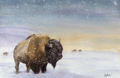 The Sentry - Bison by Jason Edward Doucette