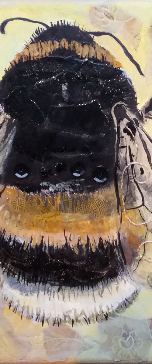 Beautiful Bee by Fiona Plaisted