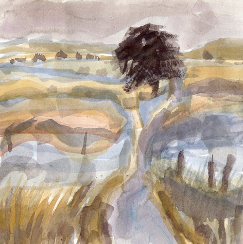 Landscape #29, Malham by Elizabeth Anne Fox