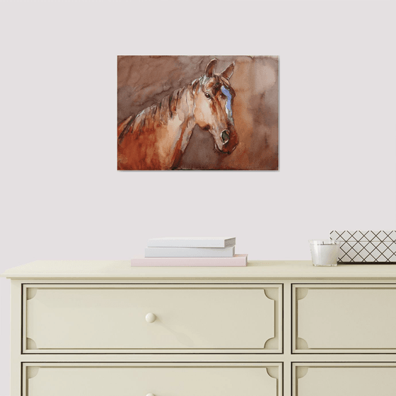 horse in the shadow III