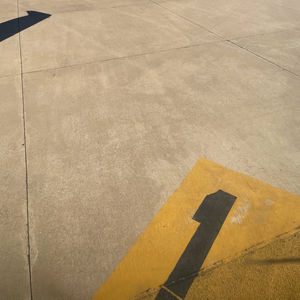 Geometric Abstract Photograph By Frankie Malone, 11 X 11, Time To Fly - Series 2, Original Artwork