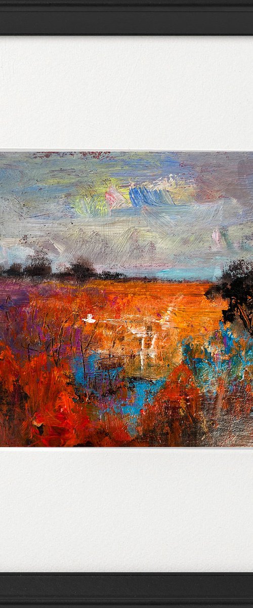 Warm evening in the fields Framed by Teresa Tanner