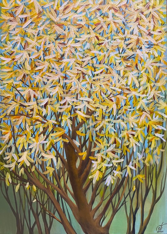 The First Rays of Spring