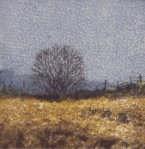 Bog Tree by Aidan Flanagan Irish Landscapes