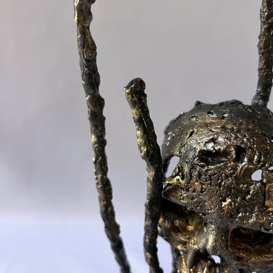 Skull 53-25
