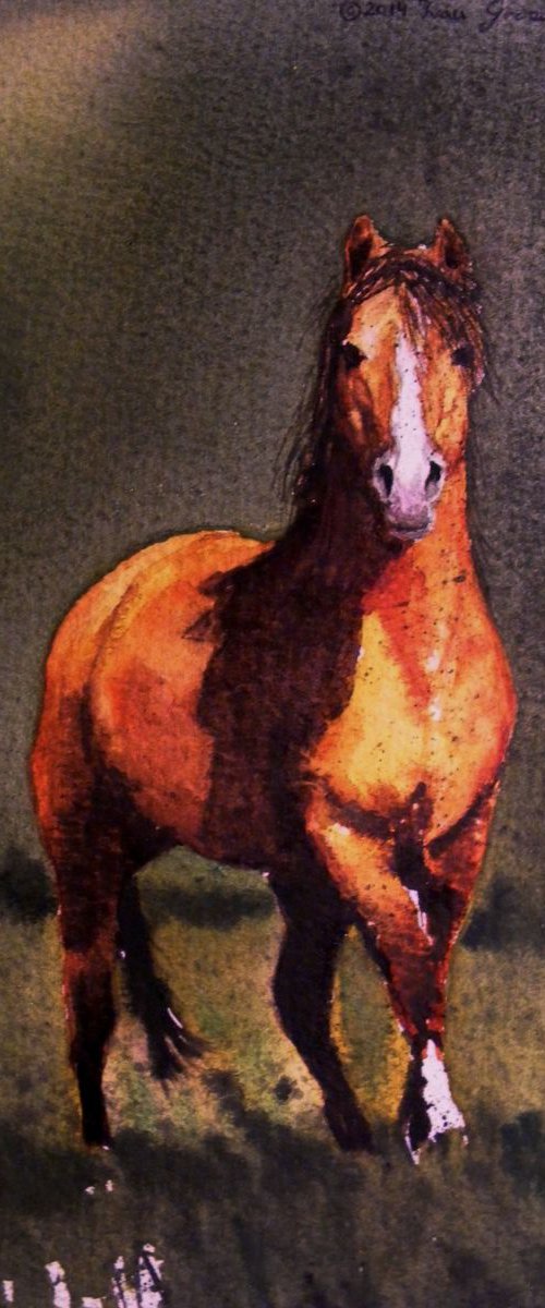 Proud stallion by Ivan  Grozdanovski