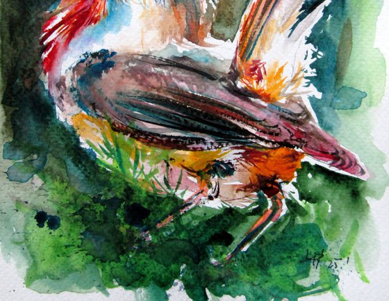 Singing Robin