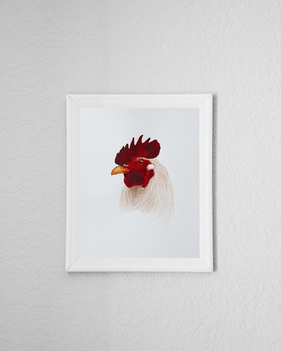 Small rooster