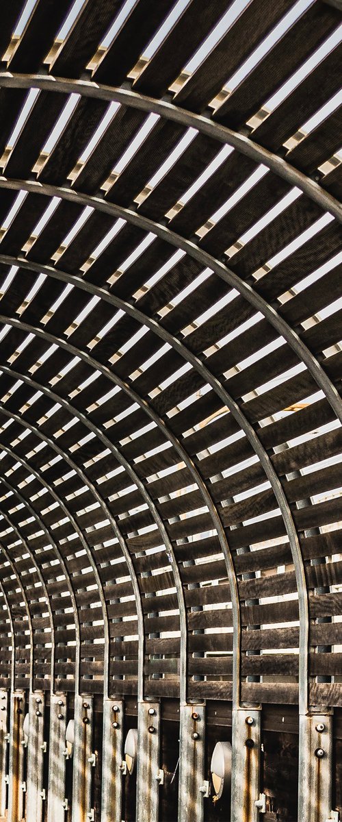 THE LONELY MAN by Fabio Accorrà