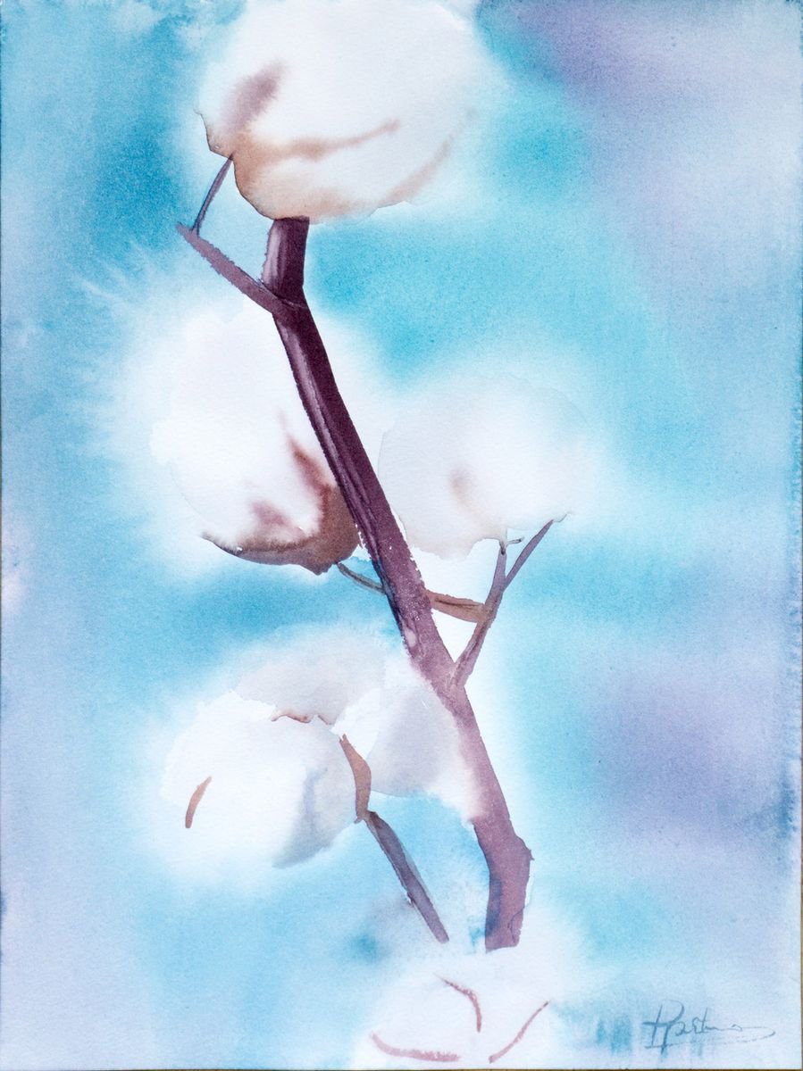 Cotton flower by Olga Shefranov (Tchefranova)