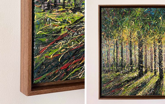 Spring Forest Light