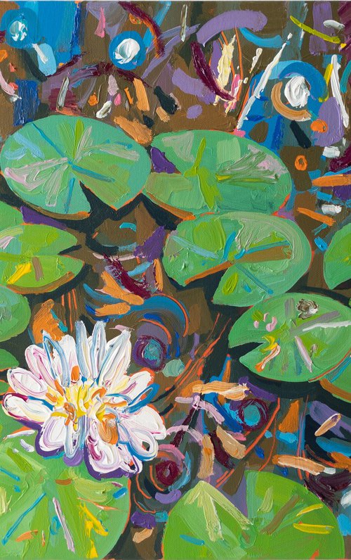 Tasman Lily Pond 54 by Joseph Villanueva