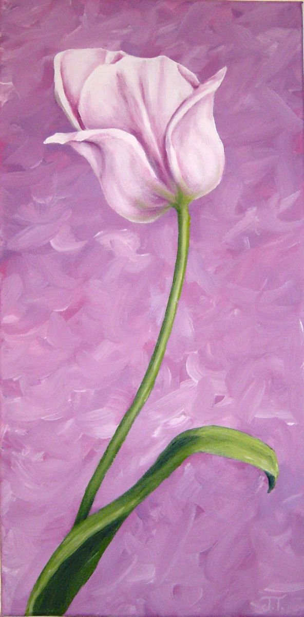 Tulip II by Jennifer Cussons