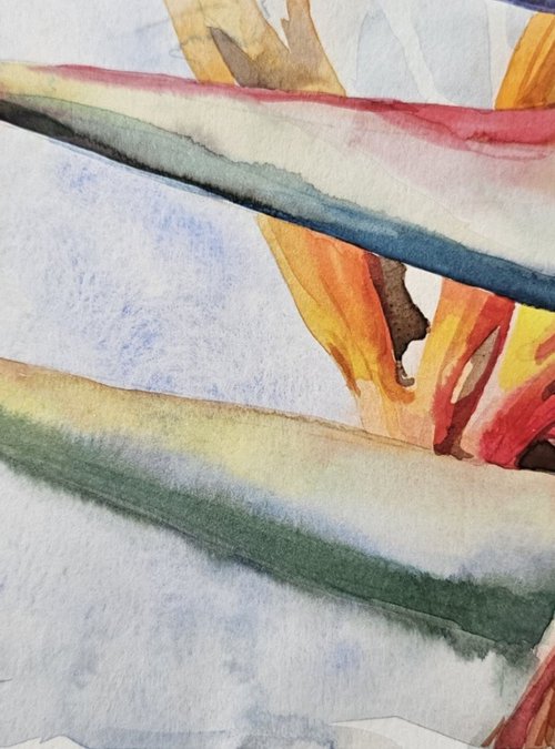 Whisper of Paradise by Olena Kosenko