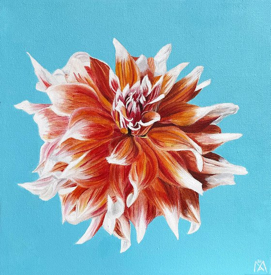 Dahlia