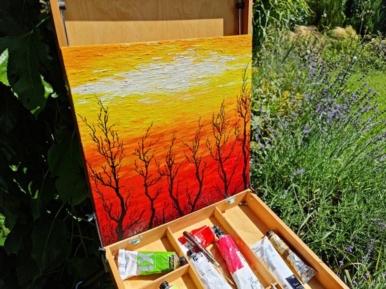 Sunny trees