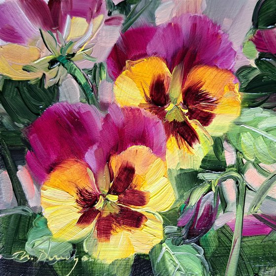 Pansy flowers