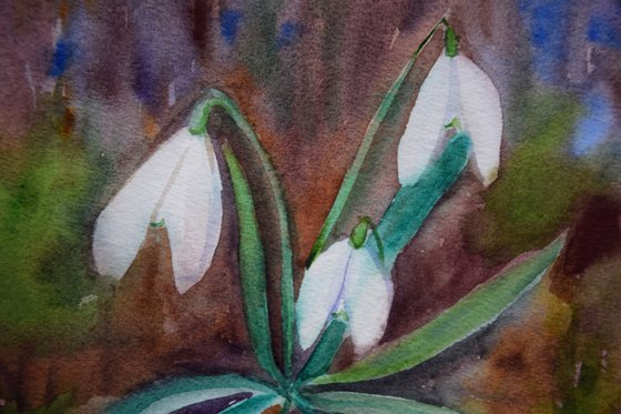 Snowdrops watercolor painting, flower wall art, floral gift for her