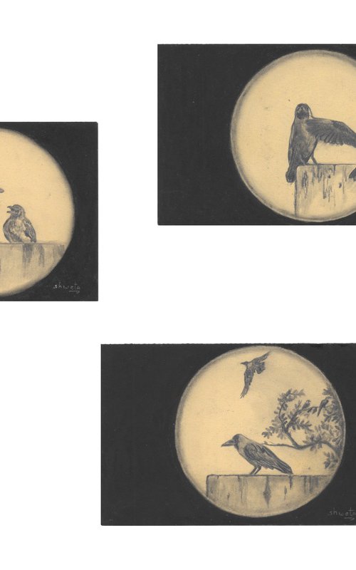 Indian House Crows Postcards II by Shweta  Mahajan