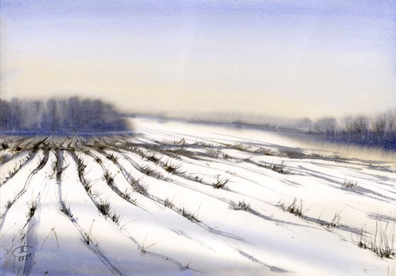 Regularity. Winter fields