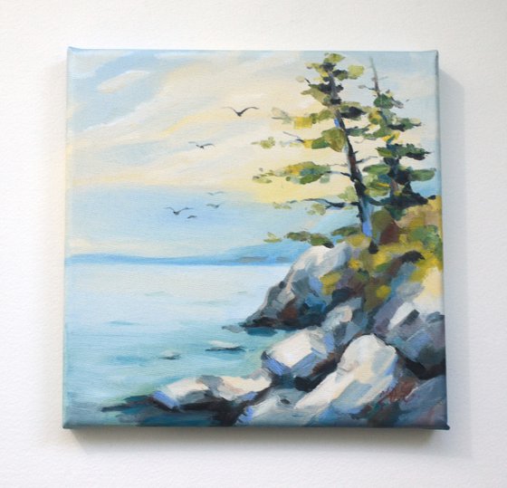 Pine trees on a rocky shore