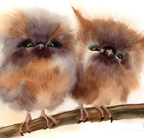 Two babies owl on the branch